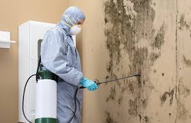 Mold Remediation for Vacation Homes in Highland, MD